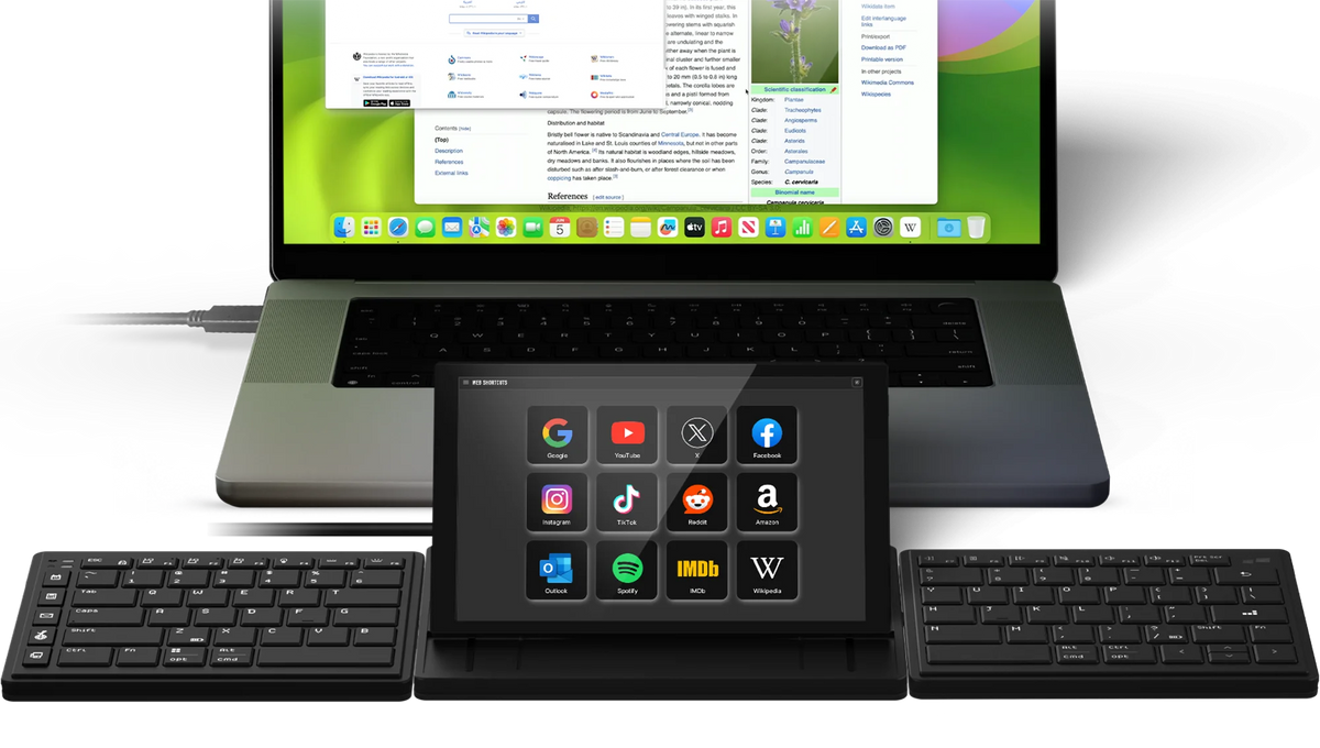 Tetra Ergonomic Split Keyboard with Screen
