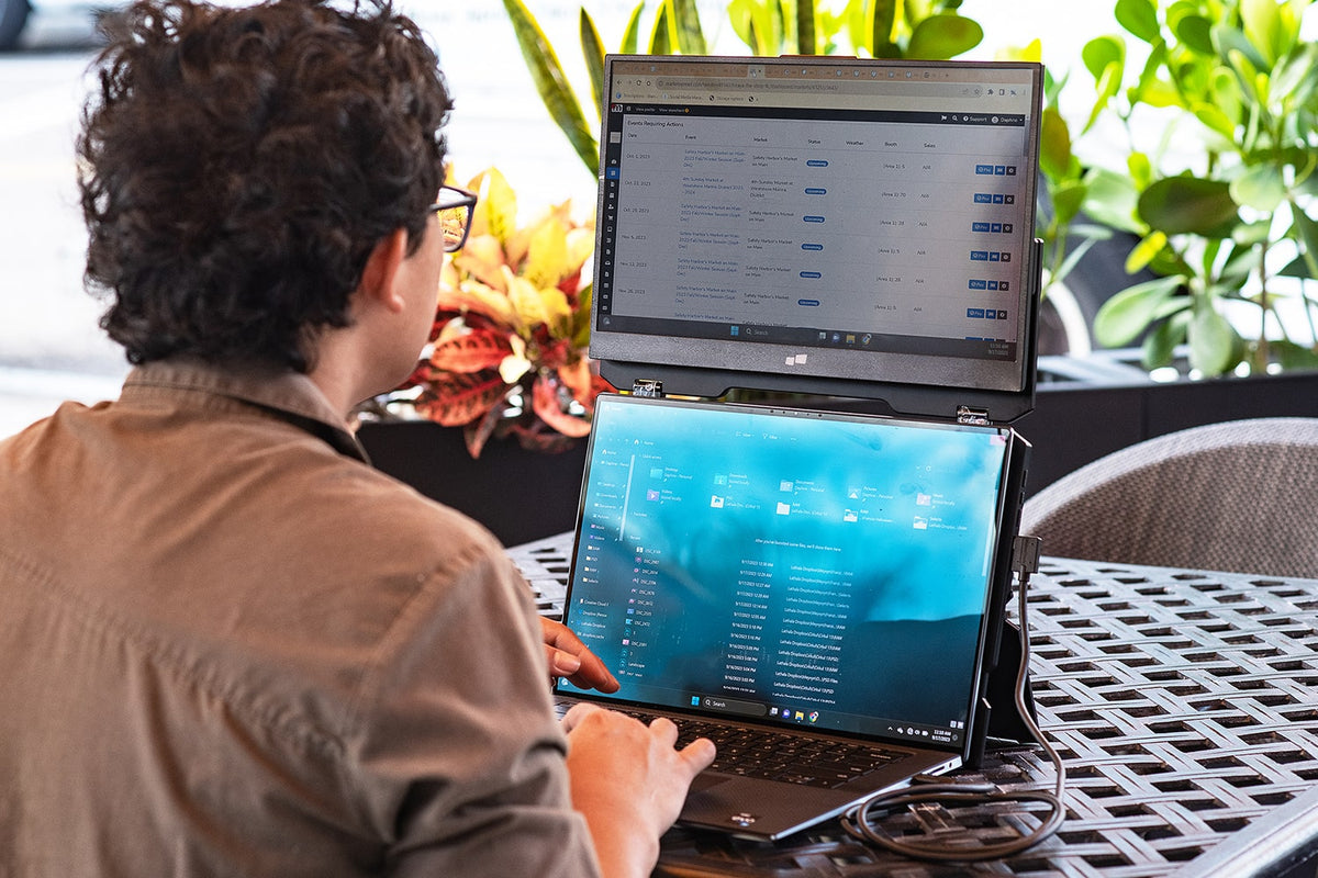 Portable monitor